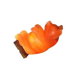 Lampe en forme d'ours en peluche en sel rose de l'Himalaya, fabriquée à la main, lumière de nuit en cristal naturel, décoration d'intérieur, fabricant OEM - Product Image 4