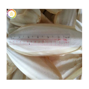 Piezas de Hueso de Sepia Secas a Granel para la Fabricación de Alimentos para Mascotas y Grado Alimenticio para Animales - Product Image 1