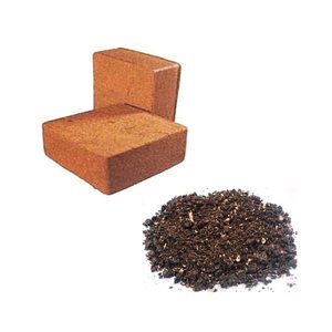 Substrat de coco fin, tourbe de coco pour la germination des graines, culture en serre et pépinière, fournisseur en gros pour acheteurs. - Product Image 2