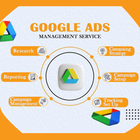 Gestión Experta de Google Ads para Pequeñas Empresas, Comercio Electrónico y Proveedores de Servicios