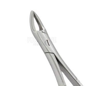 <b>Dental</b> Instrument For Controlled And Safe Tooth Extraction During <b>Dental</b> Procedures <b>Dental</b> Extracting Forceps - Product Image 5