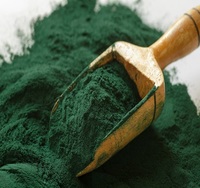 Poudre de spiruline pure pour complément nutritionnel, vente en gros, poudre d'algues bleues vertes de haute qualité pour la détoxification, le nettoyage et le soutien immunitaire