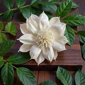 زهرة سولا خشبية مصنوعة يدويًا مستوحاة من زهرة الداليا، مقاس 15 سم، كبيرة الحجم، مصنوعة من ألياف نبات السيسبانيا - Product Image 1