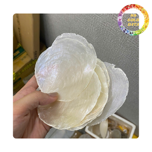 Paneles de Concha de Capiz para Pantallas de Lámparas, Decoración del Hogar, Láminas de Concha Marina Natural, Proveedor al por Mayor - Product Image 4