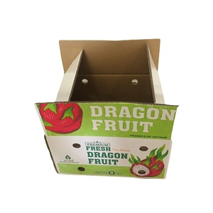 Caja de cartón de papel corrugado con etiquetas personalizadas reciclables ecológicas de lujo al por mayor para embalaje de fruta de dragón fresca - Product Image 6