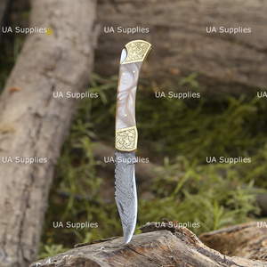 Damascus Steel Professional Folding Knife Hand Engraved Brass Bolster Resin Handle Pocket Hunting Knife OEM Supplier Private - Product Image 2