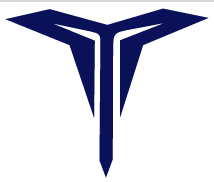 TAVIAN INTERNATIONAL logo
