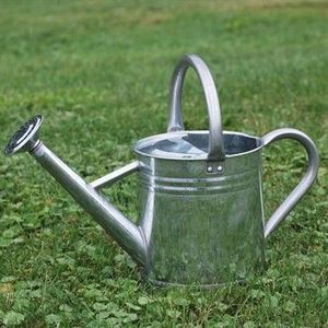 Classic galvanized metal watering can for <b>garden</b> watering <b>tool</b> with sturdy handle long spout ideal for flowers plants - Product Image 2