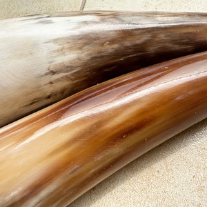 Vaso para beber de cuerno de búfalo negro pulido, marbrado, de bisono, de cuerno en polvo y de cuerno de búfalo auténtico, en varios tamaños - Product Image 6