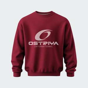 Sweat-shirt à col rond pour homme en coton 100% - Logo personnalisé - Tricot lourd d'hiver - Haute qualité - Product Image 2