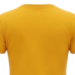 Camiseta de chenilla Sigma Gamma Rho Solid Gold 1922 para mujer, manga corta, cuello redondo, personalizada con letras griegas de la hermandad, suave y casual - Product Image 5