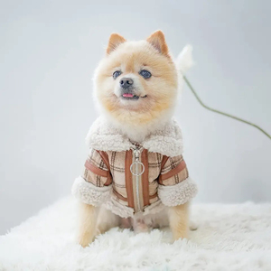 Vêtements pour animaux de compagnie à prix raisonnable, gilets sans manches de bonne qualité, vestes d'hiver, meilleur prix, manteaux à capuche zippés sur mesure pour animaux de compagnie - Product Image 1