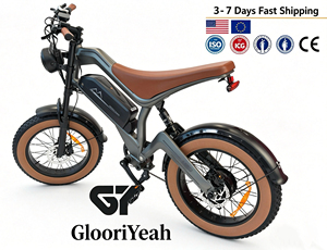 Bicicleta Eléctrica de Montaña, 750W, 48V, 15.6Ah, Neumáticos Anchos de 20 Pulgadas, 7 Velocidades, Doble Suspensión - Product Image 1