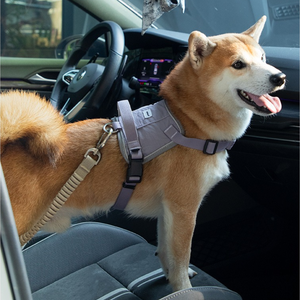 Cinturón de Seguridad para Perros con Gancho Giratorio, Venta al Por Mayor - Product Image 5