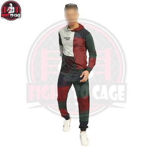 Ensemble pantalon et sweat à capuche pour homme, color block, uni, décontracté, respirant, matière douce au toucher, sur mesure, prix de gros - Product Image 3