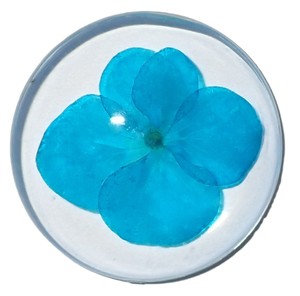 Flor de Violeta Persa, Espécimen Real en Plástico, Cabujón Redondo de 35x35 mm, Base Plana Transparente para Manualidades y Joyería - Product Image 2