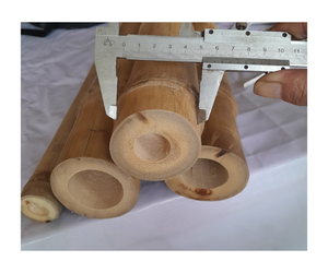 Tubo de postes de bambú natural, material de bambú de Vietnam-material robusto y sostenible para la construcción y el uso agrícola - Product Image 6