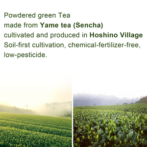 BLESS Japanese Yame Sencha Green <b>Tea</b> <b>Powder</b> Premium Grade for Healthy Beverages & Latte 1Kg Bulk Bag New from June2026 - Product Image 2