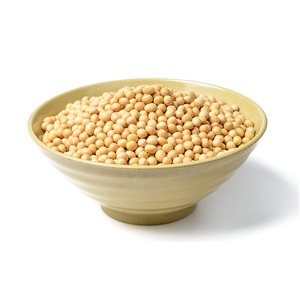 Soja non-OGM de qualité supérieure, soja bon marché en gros, soja à vendre - Product Image 6