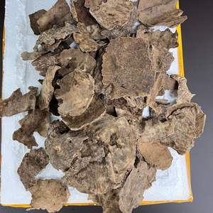 Copeaux de bois d'oud vietnamien de haute qualité, meilleur brûleur d'encens aromatique d'AZ Oud Vietnam, prix de gros, copeaux d'agarwood en vrac - Product Image 3