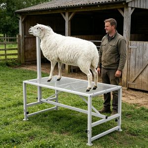 Supporto Professionale per Bestiame con Altezza Regolabile in Ferro e Acciaio Inossidabile per Capre, Pecore, Maiali e Mucche, Utilizzato in Fattoria - Product Image 3