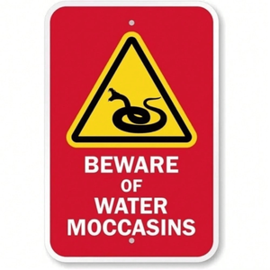 CIFbuy Cartello di Avvertimento in Metallo Resistente alle Intemperie 8x12 Pollici, Segnale di Pericolo Acqua e Moccasini, Avviso Stradale per TikTok e Temu - Product Image 2