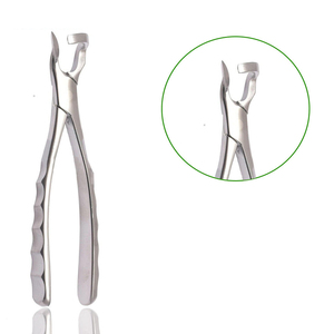 Ensemble de 2 pinces d'extraction dentaire manuelles en acier inoxydable allemand, instruments chirurgicaux dentaires réutilisables - Product Image 2