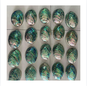 Coquille d'ormeau ovale naturelle polie, écologique, faite à la main pour la décoration intérieure, la fabrication de bijoux, artisanat sur le thème de l'amour, artisanat vietnamien - Product Image 1