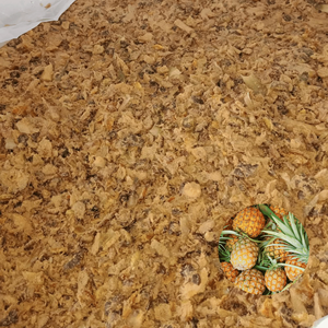 Cáscaras de Piña de Primera Calidad, Estándar Internacional, de Fábrica Vietnamita, Empacadas en Bolsa Jumbo, a Bajo Precio - Product Image 1