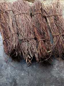 Pétales de rose rouge séchés naturels, fleurs séchées pour l'artisanat, les écrans rafraîchissants et les applications à base de plantes - Product Image 4