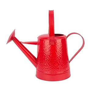 Arrosoir en métal robuste à long bec pour l'entretien des fleurs - Product Image 2