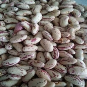 Quality Dark Red, Brown, Sugar <b>Beans</b> or Pinto <b>Beans</b>, white Sugar <b>Beans</b> - Product Image 3