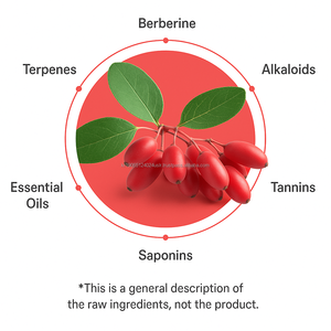 Extracto de planta de hierbas Berberine Darwintree coreano de alta calidad - Product Image 2
