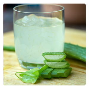 MEILLEURE OFFRE | Gelée d'Aloe Vera Pure à Usage Culinaire | Délicieuse et Nutritive | Fraîche du Vietnam - Product Image 3