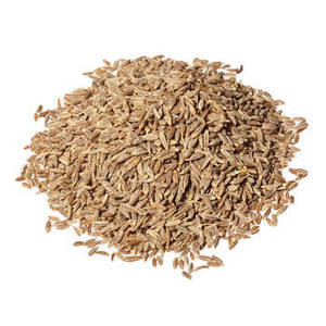 เมล็ดยี่หร่าอินเดียแท้ 100% เกรดพรีเมียม สดใหม่จากการเก็บเกี่ยว กลิ่นหอม ยี่หร่ากูร์กาฏ  อายุการเก็บรักษา 24 เดือน สำหรับการส่งออกจำนวนมาก - Product Image 2