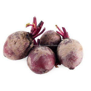 Remolacha Roja Fresca Premium, Calidad de Exportación, Proveedor Mayorista de Remolacha Fresca de Granja de Bangladesh, Six Season Agro - Product Image 6