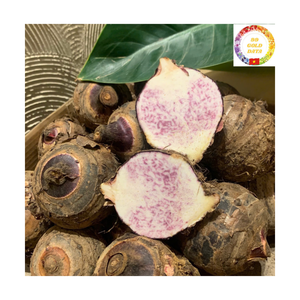 Raíz de Taro Congelada IQF, Pelada y en Rodajas, Calidad Premium, Empaque a Granel de 10 kg, Proveedor de Exportación de Vietnam - Product Image 2