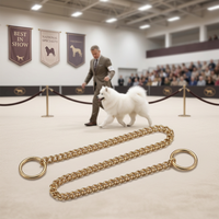 Collier de dressage classique à maillons courts en cuivre massif de haute qualité pour chiens de taille moyenne, toutes saisons, en stock, vente en gros TW Pet