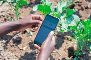 Application agricole pour la gestion des cultures, la surveillance des exploitations, le suivi du bétail, les mises à jour météorologiques et l'agriculture intelligente. - Product Image 3