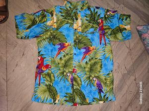 Chemise Hawaïenne Homme Manches Courtes Imprimé Tropical Perroquet Bleu – Idéale Vacances Hiver – Respirante en Popeline à Col Montant - Product Image 1