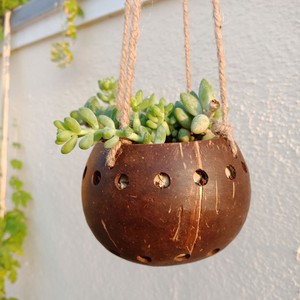 Macetas de cáscara de coco pequeñas al por mayor para la decoración del hogar macetas de flores y plantas naturales baratas - Product Image 2