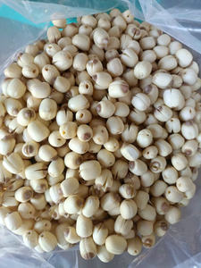 Graines de lotus séchées VF 500g Sac de graines de lotus naturelles sélectionnées pour l'ingrédient alimentaire et la cuisine Vietnam par 99 Gold Data - Product Image 5