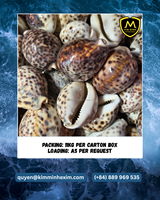 Coquilles de tigre KMI du Vietnam pour la décoration, l'artisanat, l'aménagement d'aquariums, en gros, à prix compétitif
