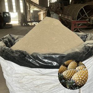 Gran Oferta, Polvo de Cáscara de Piña de Primera Calidad, el Más Vendido, Hecho en Vietnam, Grado Alimenticio, Empacado en Bolsa de 5 kg - Product Image 1