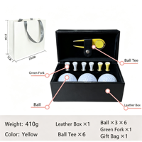 Coffret Cadeau de Golf en PU avec Balles de Golf en Acier Inoxydable, Outil de Réparation de Divots, Marqueur de Balle, Tees de Golf et Accessoires – Kit Cadeau pour Golfeur