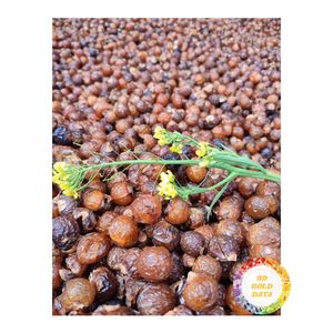 เมล็ดสบู่ออร์แกนิค โบ ฮอน ผลิตในเวียดนาม เมล็ดสมุนไพรขายดีที่สุดสำหรับทำสบู่ เป็นมิตรต่อสิ่งแวดล้อม ขายดีในปี 2026 - Product Image 6