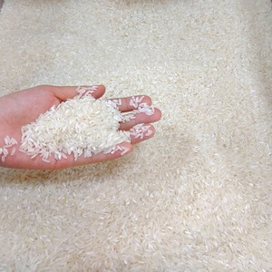 Fournisseur direct d'usine, riz basmati, acheter du riz de qualité supérieure, 100% pur, frais, en gros, prix très bas, livraison rapide aujourd'hui seulement - Product Image 1
