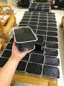 วุ้นหญ้าชินโชว์แบบขายส่งสำหรับธุรกิจอาหารและผู้จัดจำหน่าย - Product Image 4