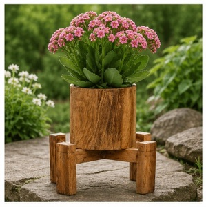 Soporte Moderno para Plantas de Madera, con Macetero de Madera de Mango Sólida, Ecológico, para Interiores, para Escritorio y Sala de Estar - Product Image 6