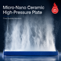 Diffuseur de disque d'air plat Micro Nano Bubble pour l'aquaculture de pisciculture avec aération d'oxygène en céramique Augmentation de l'oxygène d'aquaculture